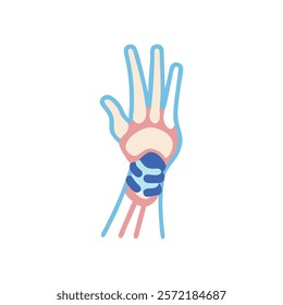 Insightful Wrist Joint Anatomy Vector Illustration