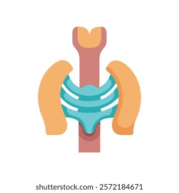 Insightful Xiphoid Process Anatomy Vector Illustration