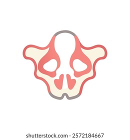 Insightful Zygomatic Bone Anatomy Vector Illustration