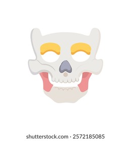 Insightful Zygomatic Bones Anatomy Vector Design