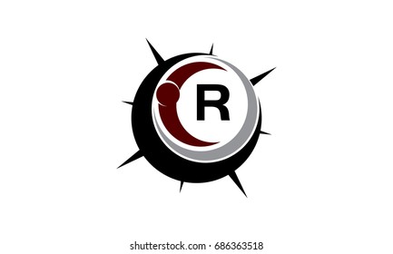 Insights Guide Initial R