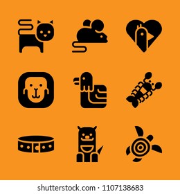 insignia, dog, button and hawaiian icon set. Vector illustration for web and design.