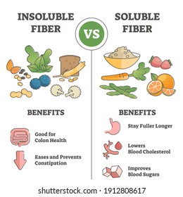Insoluble or soluble fiber consumption benefits comparison outline concept. Food supplement from anatomical health aspect for digestive system vector illustration. Educational fibre types scheme.