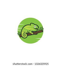 inspiration chameleon logo design 