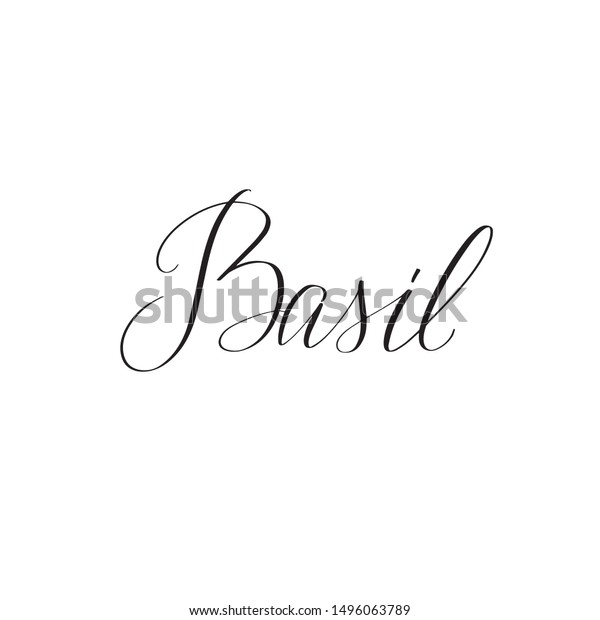 Inspirational Handwritten Brush Lettering Basil Vector Stock Vector ...