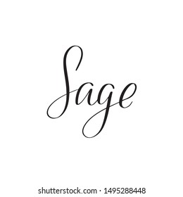 Inspirational handwritten brush lettering sage. Vector calligraphy illustration isolated on white background. Typography for banners, badges, postcard, t-shirt, prints, posters.