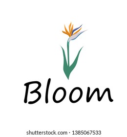 Inspirational quote about spring season, typography for print or use as poster, flyer or T shirt