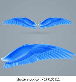 Inspiring dark blue  wings drawn separately on a gray background