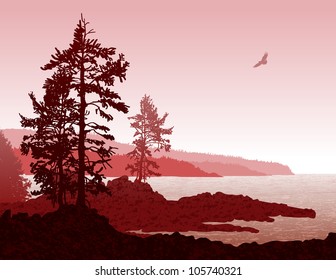 Inspiring illustration depicting the rugged west coast of Vancouver Island