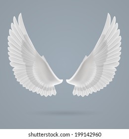 Inspiring white wings up drawn separately on a gray background