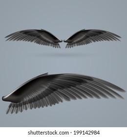 Inspiring wings black colour drawn separately on a gray background