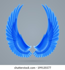 Inspiring wings blue colour drawn separately on a gray background