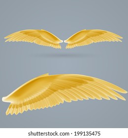Inspiring yellow wings drawn separately on a gray background