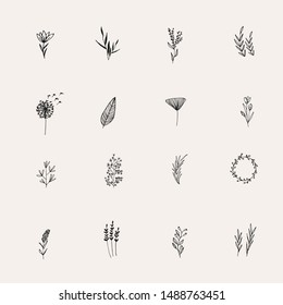 Instagram Cover Highlight Icon. Black Flower Logo Element. Hand Drawn Plants. Natural Instagram Story. Simple Doodle. Instagram Story Highlight Icon. 