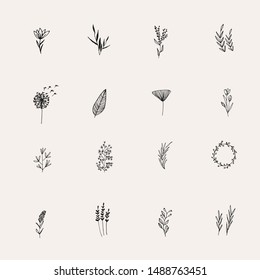 Instagram Cover Highlight Icon. Black Flower logo element. Hand drawn plants. Natural Instagram Story. Simple doodle. Instagram Story Highlight Icon. 