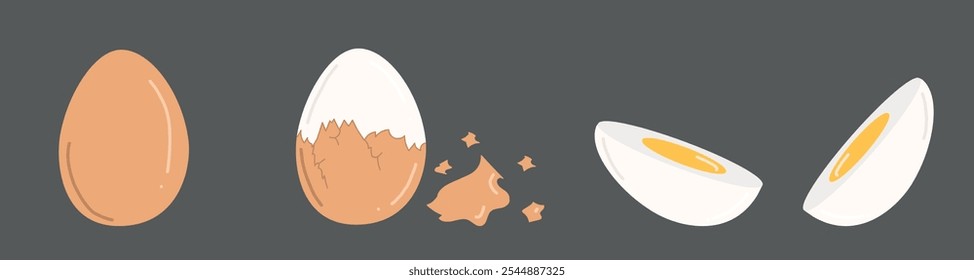 Instrucción de cómo cocinar huevos duros clásicos. El huevo entero con cáscara de huevo marrón, huevo pelado y medio huevo hervido en rodajas con yema amarilla. Ilustración vectorial dibujada a mano en estilo plano