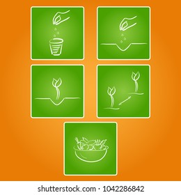 Instruction for seeds in five green squares with white border