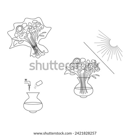 Instructions for caring for a bouquet of flowers vector illustration design isolated