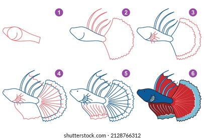 Instructions for drawing betta. Step by step.