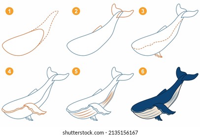 Instructions for drawing whale. Step by step.