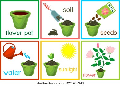 Instructions on how to plant flower in six easy steps with titles. Step by step
