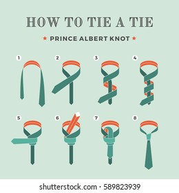 Instructions on how to tie a tie on the turquoise background of the six steps. Prince Albert knot. Vector Illustration