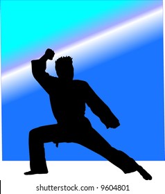 Jeet-kune-do Images, Stock Photos & Vectors | Shutterstock