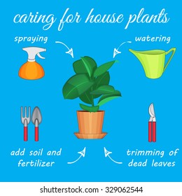 Instruments and actions needed to care for plants