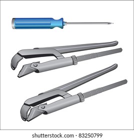 Instruments gas key and a screwdriver in the vector