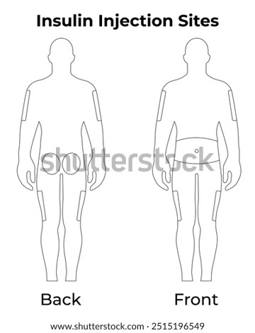 Insulin Injection Sites Science Design Vector Illustration Diagram