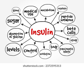 La insulina es una hormona peptídica producida por células beta de los islotes pancreáticos codificados en humanos por el gen INS, el fondo del concepto de mapa de la mente
