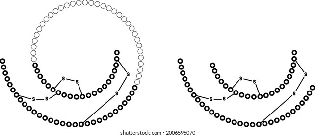 icono de estructura de insulina, ilustración vectorial