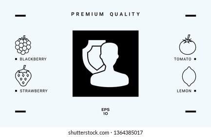 Insurance shield with user icon. Graphic elements for your design