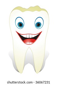 Intact, healthy  molar tooth