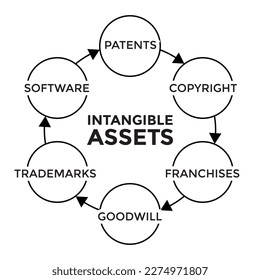 intangible assets graph or diagram, vector illustration 