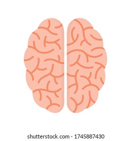 Intellectual Ability Concept. Brain Top
 View.