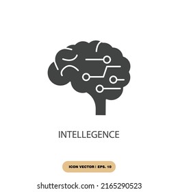 intellegence icons  symbol vector elements for infographic web