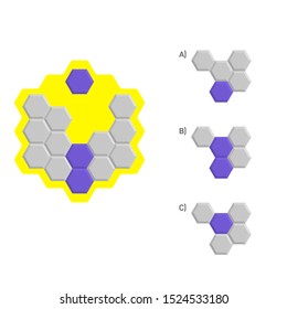 Intelligence development question - Figure completion, Visual intelligence, Practical questions IQ vector