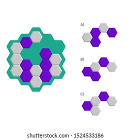 Intelligence development question - Figure completion, Visual intelligence, Practical questions IQ vector