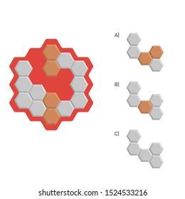 Intelligence development question - Figure completion, Visual intelligence, Practical questions IQ vector