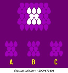 Intelligence puzzle, Find the missing piece, visual intelligence questions, IQ Test