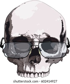 Intelligent looking Skull in reading glasses isolated on white background
