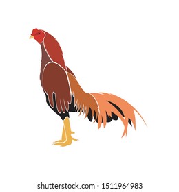 Intelligent vector design of chicken