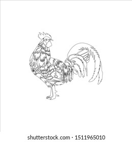 Intelligent vector design of chicken