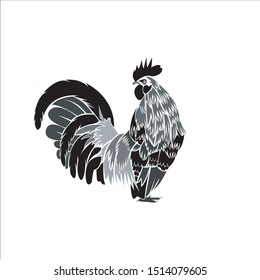 Intelligent Vector design of chicken