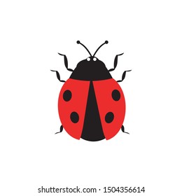intelligent vector design of ladybug in the garden