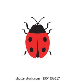 intelligent vector design of ladybug in the garden