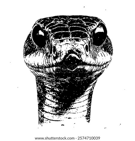 Similar – Image, Stock Photo Dead snake capture dead