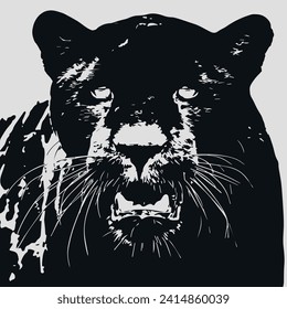 Intense gaze of a black panther in contrast