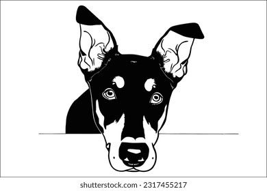 Intense and regal, the Dobermann's head peers with a commanding gaze. This EPS file captures the breed's striking features, showcasing its powerful jawline and alert eyes. A perfect design element 